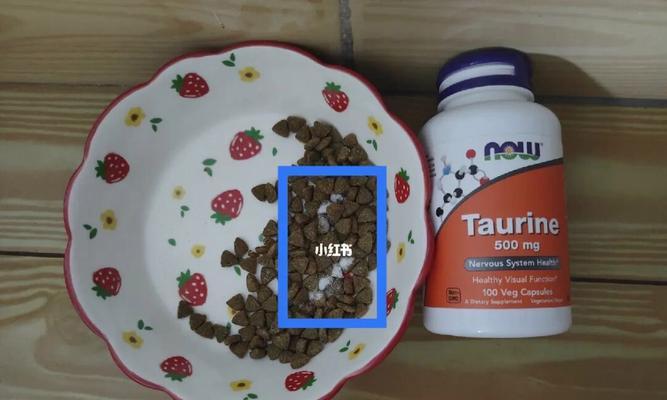 猫咪如何正确食用牛磺酸(健康宠物必备)