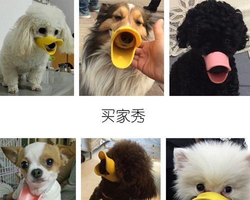 狗狗嘴唇红了怎么办(如何保持狗狗口腔健康)