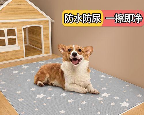 让你的狗忘记在窝里尿的习惯(以科学方法改变宠物的行为习惯)