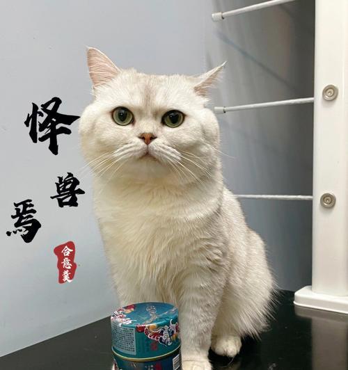 享受猫咪奶糕的正确方式(用心享受)