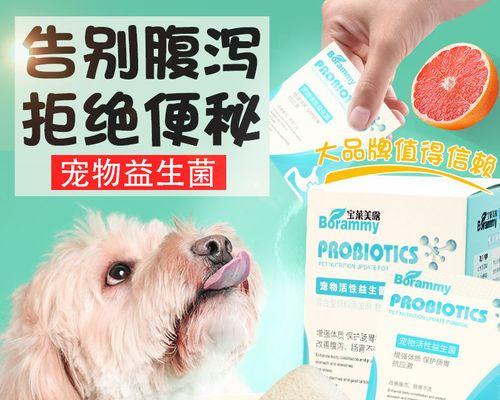 如何为幼犬选择最好的拉稀药品?