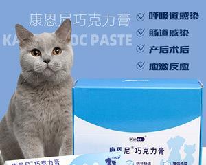 预防猫咪感冒,药物是关键(宠物主人必看!15个实用小贴士教你如何让猫咪远离感冒)