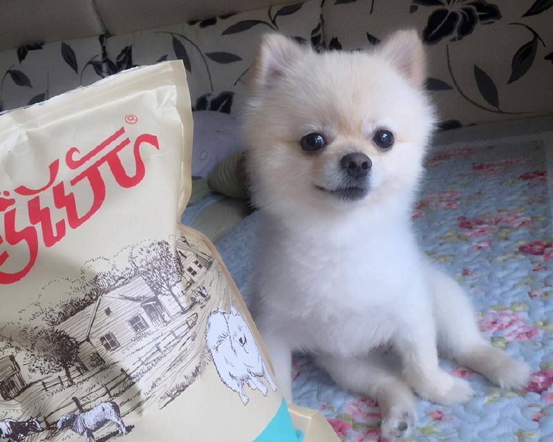 选择以博美幼犬顶级狗粮,让你的宠物获得健康生活(了解你的博美幼犬所需的营养成分)