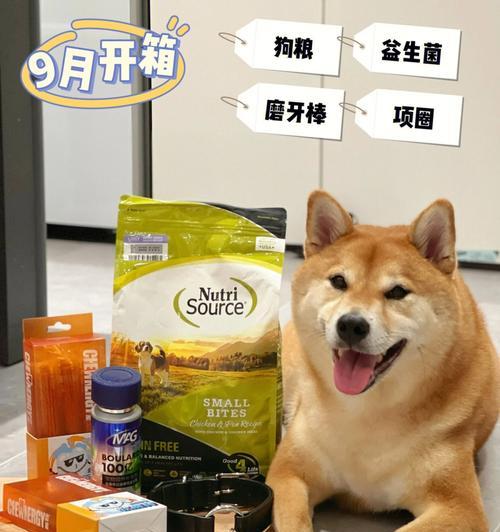 如何选择适合你的宠物的最佳柴犬狗粮（一份详细的柴犬狗粮购买指南）