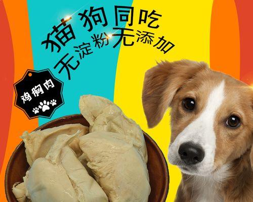 以光吃猫粮的探讨(宠物饮食安全与健康)