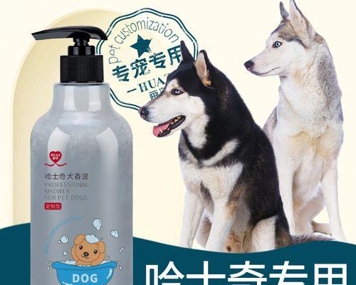 掌握哈士奇体重身高表,助您养一只健康的哈士奇宠物(以哈士奇体重身高表为基准)