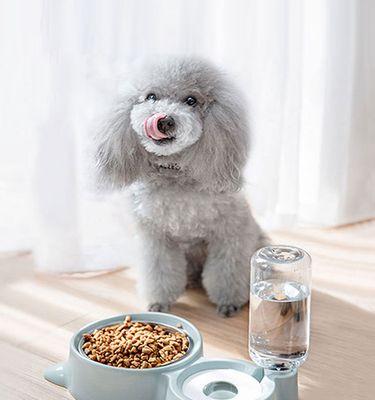 猫咪收集屋内放猫粮,如何实现宠物健康饮食(利用科技手段)