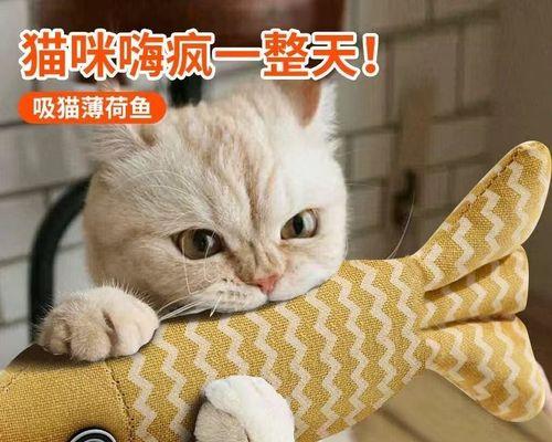 如何让你的猫咪体型变大(健康增重的秘诀与方法)
