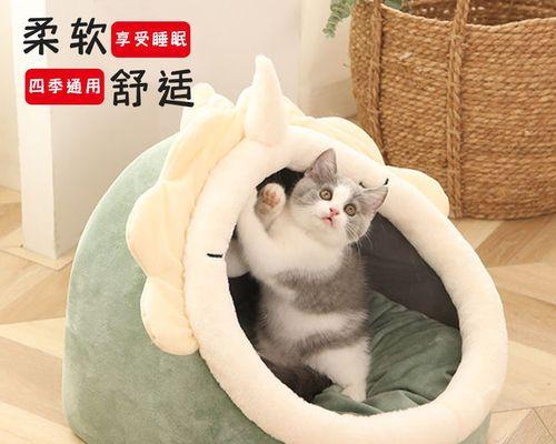 宠物猫突然在地上拉屎,你该如何应对(教你处理突发状况)