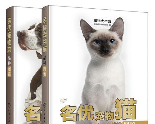 保障城市卫生,从宠物猫咪做起(宠物猫咪的健康检查与管理)