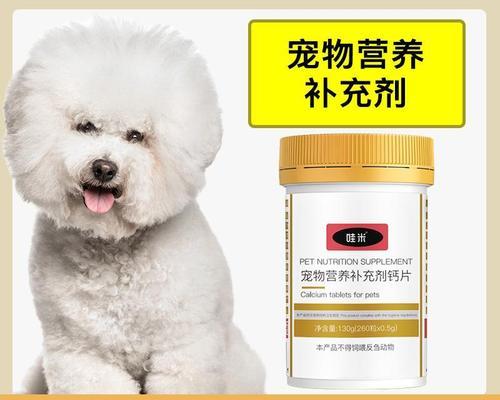 小狗脑门骨头陷进去,宠物主人必须知道的应急处理方法(急救方法)