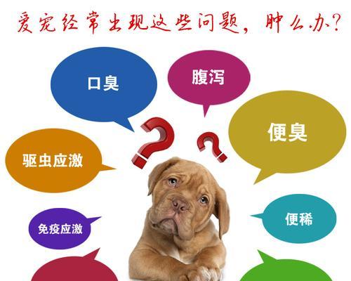 小狗吃益生菌的好处（宠物健康的保障）