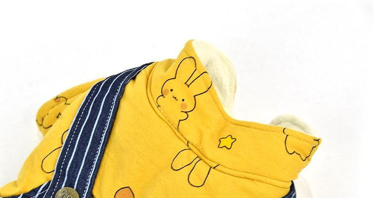 小黄狗衣服品牌大揭秘(探寻优质宠物服饰)