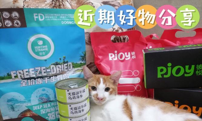 小猫220g,成长之路(从初生到成猫)