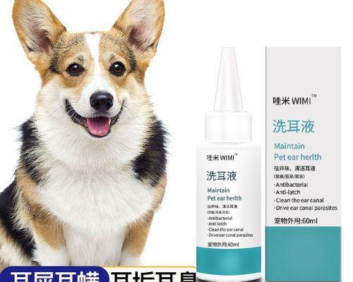 狗狗耳朵流血了怎么办(宠物主人必看)
