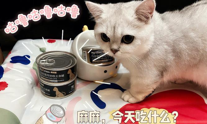 狗狗奶糕,宠物的健康美味(一份爱的投资)