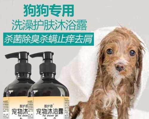如何帮助宠物狗狗缓解排便不舒服(排便困难、便秘、腹泻)