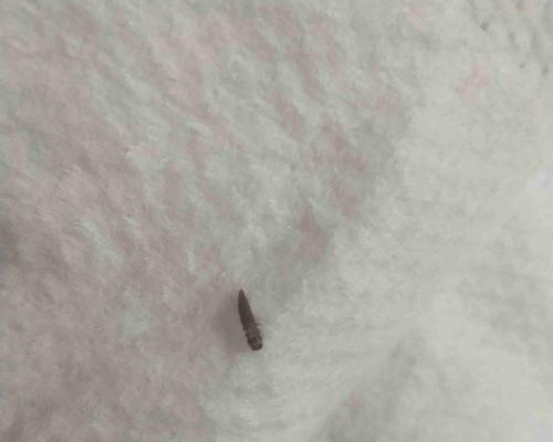 了解宠物狗身上的虫——以螨虫为例(家养狗狗的必知之课)