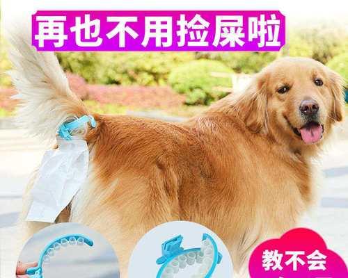 狗狗手术后不拉大便，怎么办（手术后应注意的事项）