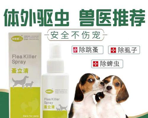 狗狗体内小疙瘩是什么(宠物健康的重要指标及常见疾病处理方法)