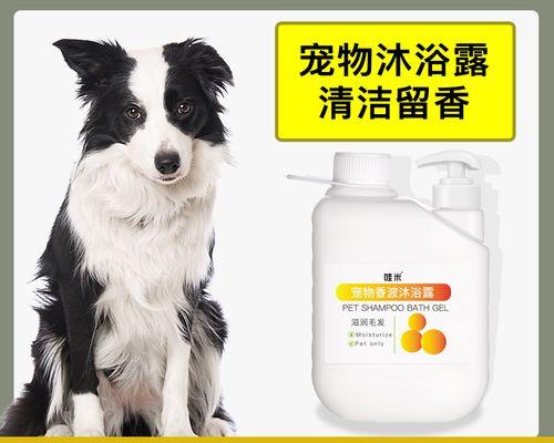 揭开狗狗全身痛的原因与治疗方法(狗狗为何会全身痛)
