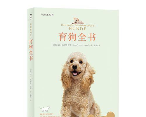 为什么狗狗总爱蹭墙（揭开狗狗蹭墙的神秘面纱）