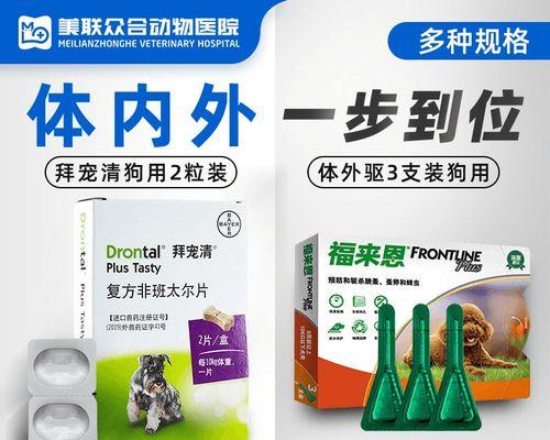 狗狗胃炎的症状及治疗药物(关注宠物健康)