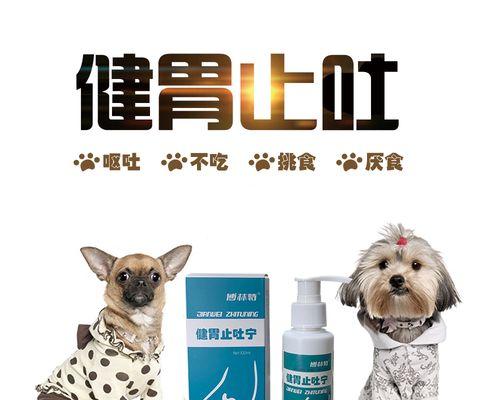 小狗胃炎治疗秘籍(以宠物为主)