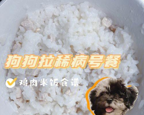 小狗总吐，如何解决（以健康饮食为的宠物养护指南）