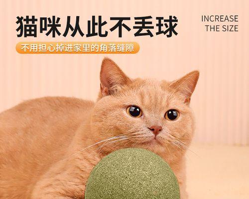 探秘宠物世界的玩具之小猫篇(了解小猫的玩具种类与使用方法)