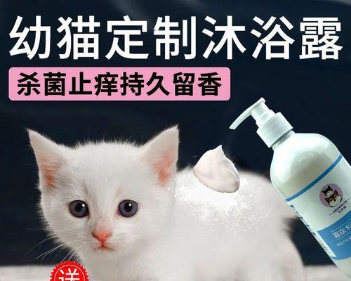 小猫洗完澡后怎么预防着凉(关爱宠物)