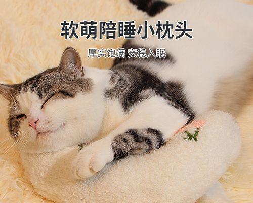 绿色宠物生活——给猫咪种草的重要性（探究为什么猫咪需要草）