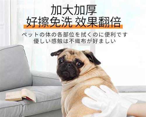 让宠物狗狗干爽过夏天（应对潮湿天气）