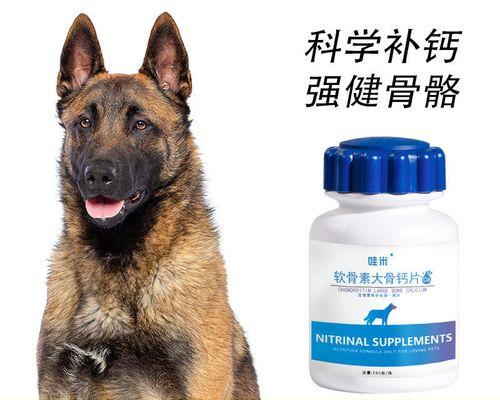 狗狗健康，从钙粉开始（了解狗狗所需的钙质）