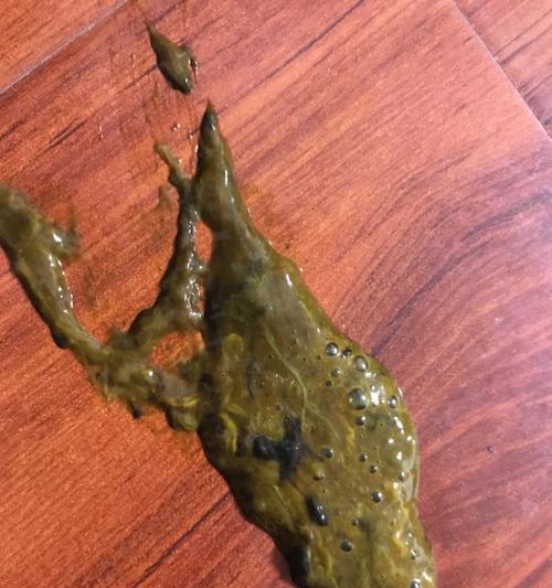 从狗狗拉的屎看健康（解读宠物的排泄状态）