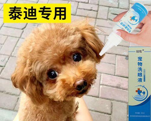 宠物泪痕问题解决方案(以狗狗泪痕为例)