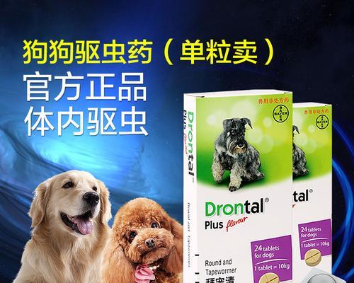 如何正确使用打虫药为狗狗清除寄生虫（宠物主人必读的打虫药使用指南）