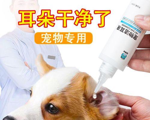 为什么猫咪需要剪耳朵（探究猫咪剪耳朵的原因和影响）