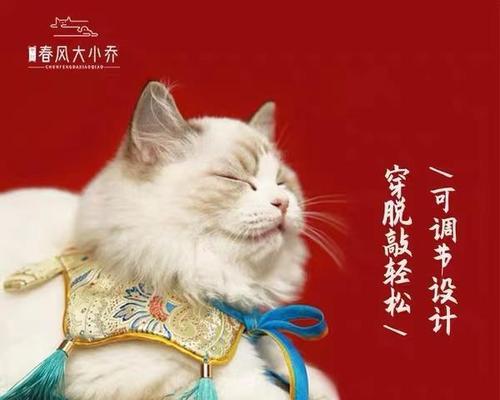 猫咪摔后几天死亡,深度剖析真相(宠物福利该如何保障)