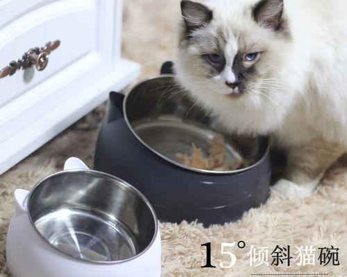 宠物猫咪去世怎么处理(如何合理安排宠物猫咪的后事)