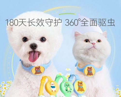 宠物犬体内驱虫方法大揭秘(从驱虫的重要性到驱虫的方法)
