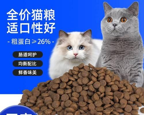 揭秘宠物猫最爱的食物与营养需求(揭秘宠物猫最爱的食物与营养需求)