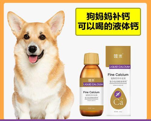 宠物狗产后缺钙喘怎么办(细致呵护宠物健康)