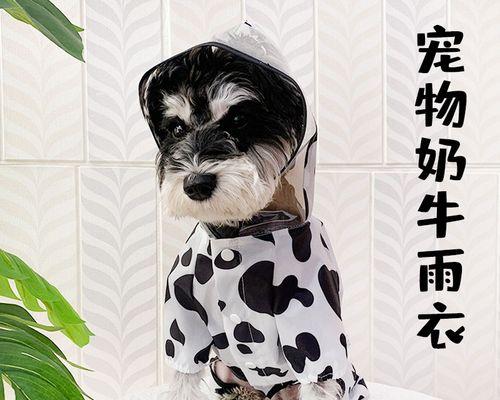宠物狗刚生下小狗,你需要知道的事情(照顾新生小狗的方法及注意事项)