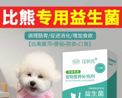 狗狗呕吐是什么引起的?如何快速识别原因并处理?