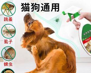 狗狗驱虫两次后仍然拉虫怎么办？