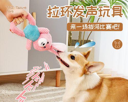 狗狗咬手的常见原因和解决方法是什么?