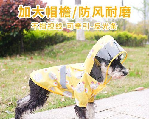 狗狗下雨天如何处理大小便问题?