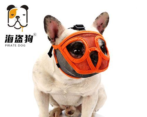 怀孕的小狗应该叫什么?如何为即将出生的幼犬选择名字?