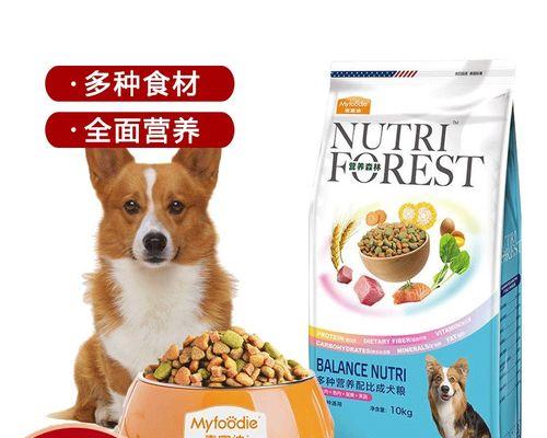 金毛瘦小应该选择哪种狗粮?如何挑选适合的狗粮?
